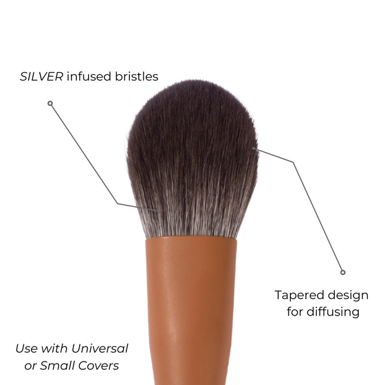 Blush and Bronzer Brush